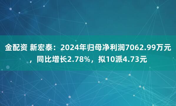 金配资 新宏泰：2024年归母净利润7062.99万元，同比增长2.78%，拟10派4.73元