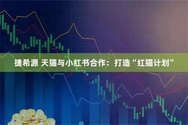 捷希源 天猫与小红书合作：打造“红猫计划”