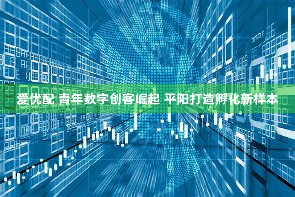 爱优配 青年数字创客崛起 平阳打造孵化新样本