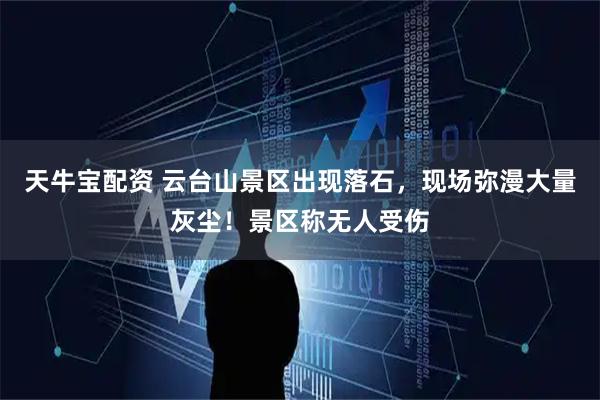天牛宝配资 云台山景区出现落石，现场弥漫大量灰尘！景区称无人受伤