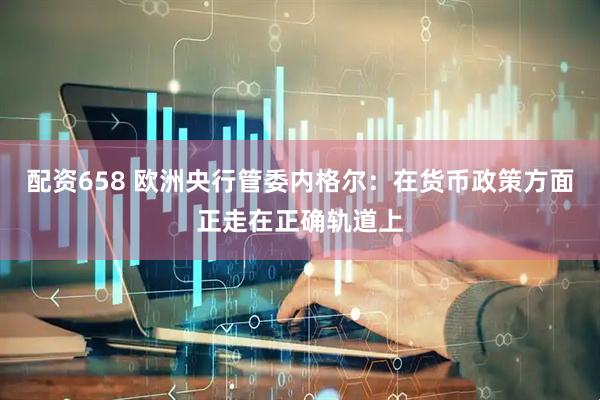 配资658 欧洲央行管委内格尔：在货币政策方面正走在正确轨道上